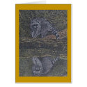 raccoon and reflection cards