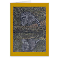 raccoon and reflection cards