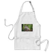 Raccoon Aprons