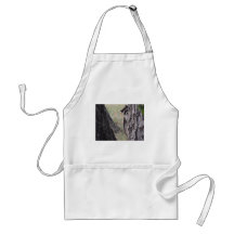 Raccoon Aprons