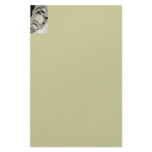 Raccoon At Home Stationery