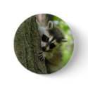 Raccoon Baby Button