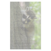 Raccoon Baby Lined or Unlined Stationery