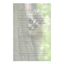 Raccoon Baby Lined or Unlined Stationery stationery