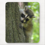 Raccoon Baby Mousepad