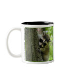 Raccoon Baby Mug