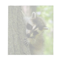 Raccoon Baby Notepad notepads