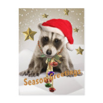 Raccoon baby Season Greetings Postcard