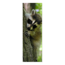 Raccoon Baby Skinny Business Card or Mini Bookmark business cards