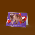 RACCOON BABY Valentine's Day Card