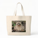 Raccoon bags