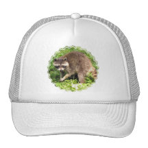 Raccoon Baseball Hat