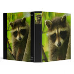 raccoon binders