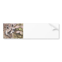 Raccoon Bumper Sticker bumper stickers