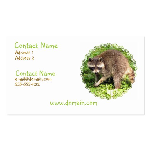 Raccoon Business Card (front side)