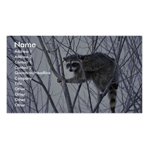 Raccoon Business Card Template (front side)