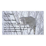 Raccoon Business Card Template