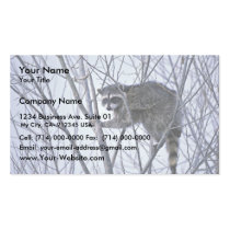Raccoon business cards