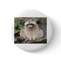 Raccoon buttons by Precious_Prints Raccoon buttons