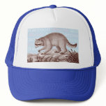 Raccoon Cap - Great for Animal Lovers hats