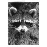 Raccoon Card