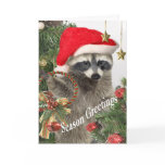 Raccoon Christma A Time For Fun Cards
