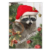 Raccoon Christma A Time For Fun Cards
