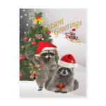 Raccoon Christmas A Time For Fun postcards