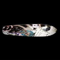 Raccoon skateboards