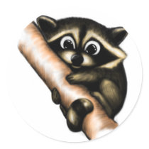 Raccoon Design Round Stickers