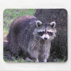 Raccoon - early mousepad