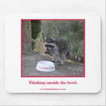 Raccoon eating kibble. mousepads