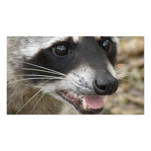 Raccoon Face Business Card (back side)