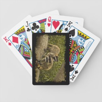 Raccoon Family Black Edge Playing Cards