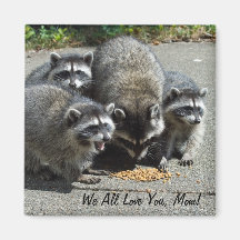 Raccoon Family Mom Magnet
