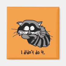 Raccoon Fridge Magnet