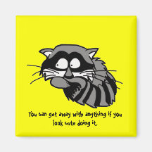 Raccoon Fridge Magnets