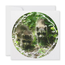 Raccoon Habitat Invitation