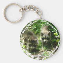 Raccoon Habitat Keychain