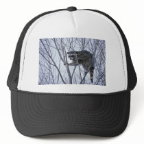 Raccoon Trucker Hat