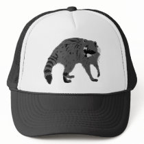 Raccoon hats