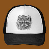Raccoon hats