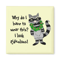Raccoon Humour magnets