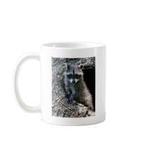 Raccoon in the Den Mug
