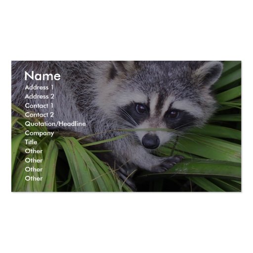 Raccoon In The Plants Business Card (front side)