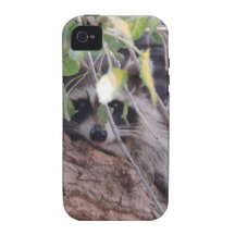 Raccoon iPhone 4/4S Cover