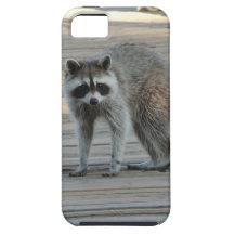 Raccoon iPhone 5 Case