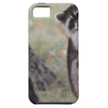 Raccoon iPhone 5 Covers