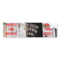 Raccoon Keep Them Wild!! Bumoer Sticker bumper stickers