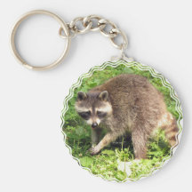 Raccoon Keychain